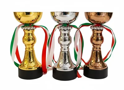 کاپ قهرمانی کد IR015 ست