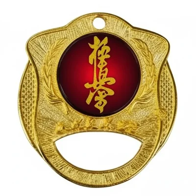 مدال قهرمانی کیوکوشین