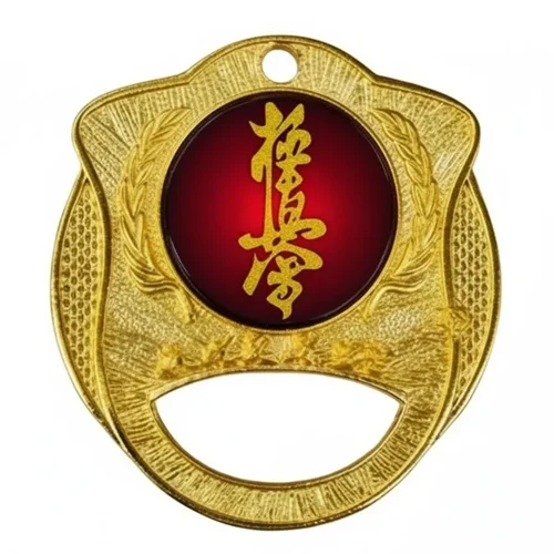 مدال قهرمانی کیوکوشین