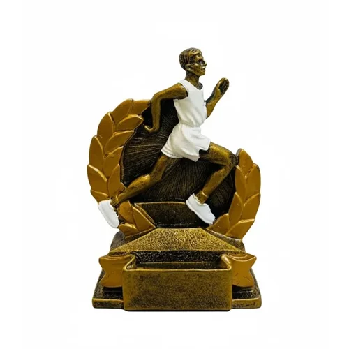 تندیس دومیدانی h5162