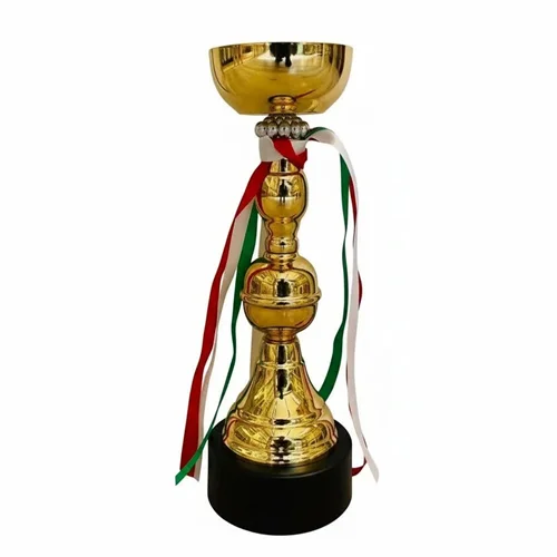 کاپ قهرمانی کد IR021 تکی