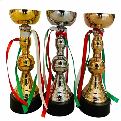 کاپ قهرمانی کد IR021 ست