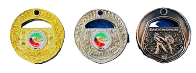 مدال قهرمانی تکواندو 02 بسته یک عددی