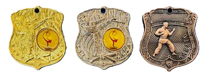 مدال قهرمانی کاراته 01 بسته یک عددی