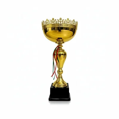 کاپ قهرمانی کد IR025 تکی