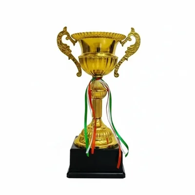 کاپ قهرمانی کد IR011 تکی