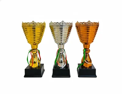 کاپ قهرمانی کد IR020 ست