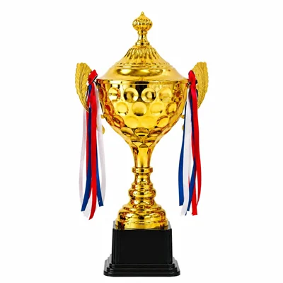 کاپ قهرمانی کد IR032 تکی 49 سانت