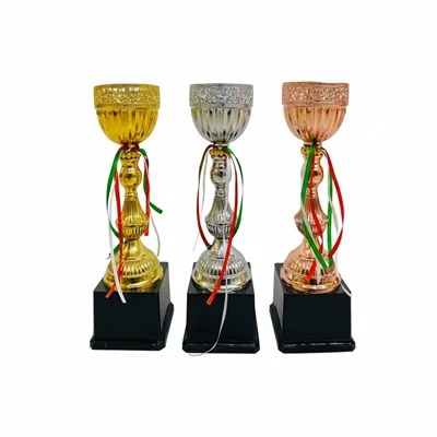 کاپ قهرمانی کد IR013 ست