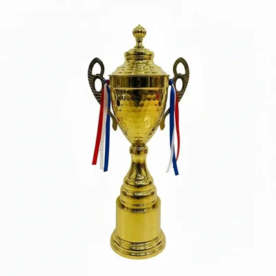 کاپ قهرمانی کد IR022 تکی