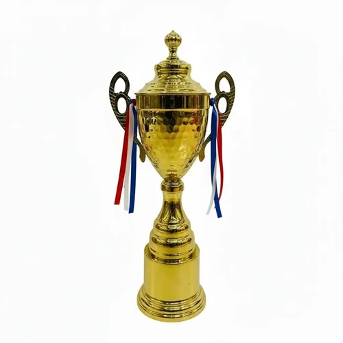 کاپ قهرمانی کد IR022 تکی