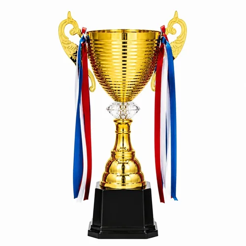 کاپ قهرمانی کد IR034 تکی 35 سانت