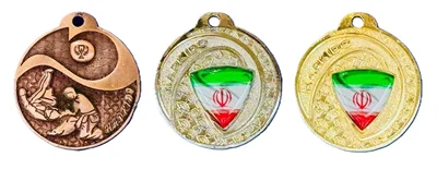 مدال قهرمانی هاپکیدو بسته یک عددی
