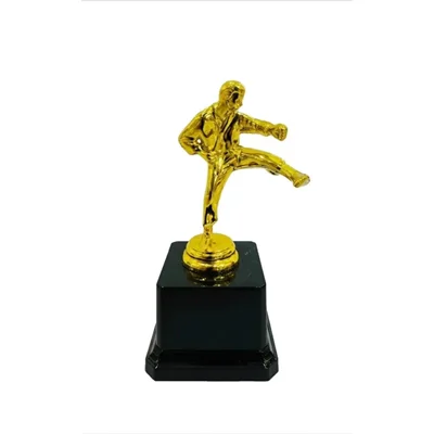 تندیس کاراته h13