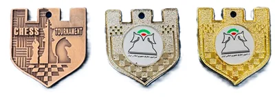 مدال قهرمانی شطرنج بسته یک عددی
