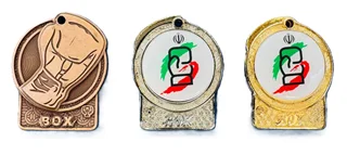 مدال قهرمانی بوکس 01 بسته یک عددی