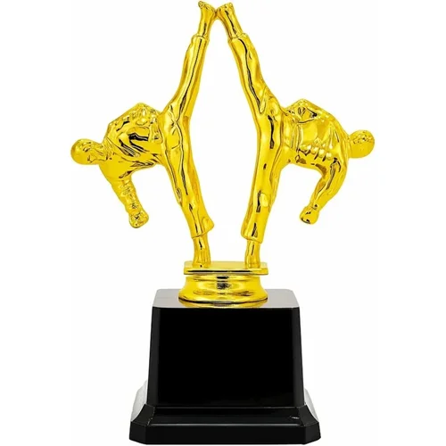 تندیس کاراته