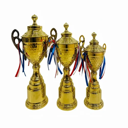 کاپ قهرمانی کد IR022 ست