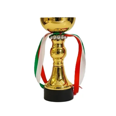 کاپ قهرمانی کد IR015 تکی