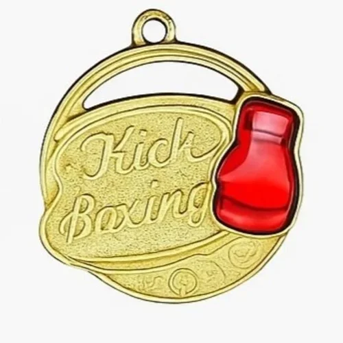 مدال قهرمانی کیک بوکس