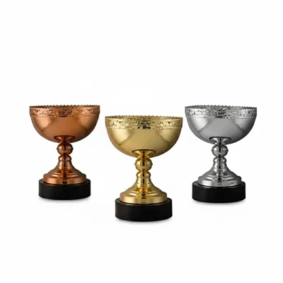 کاپ قهرمانی کد IR018 تکی